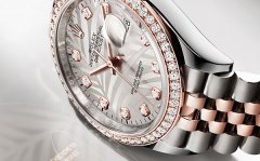 劳力士表的后盖是什么样的